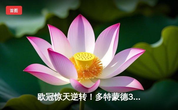 欧冠惊天逆转！多特蒙德3-2绝杀巴黎，哈兰德双响导演奇迹之夜